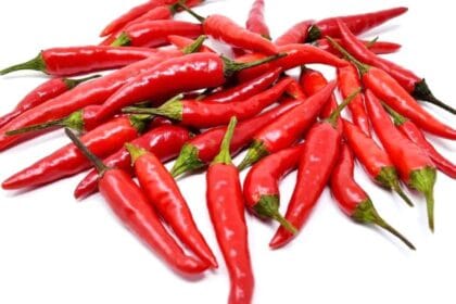 الفلفل الحار قد يساهم في الوقاية من سكري الحمل