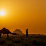 ريف حائل يكتب ما لا تقوله المدن.. مشهد الغروب يخطف الأنظار