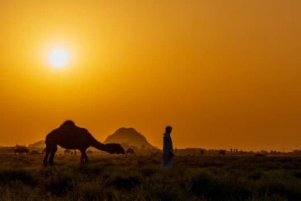 ريف حائل يكتب ما لا تقوله المدن.. مشهد الغروب يخطف الأنظار