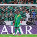 أوروبا وآسيا تشهد لـ«ميندي»