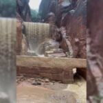معجزة في المدينة النبطية.. نجاة مئات السياح من سيول البتراء في الأردن