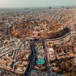 2 دولار لكل كلب ضال.. فرصة عمل غريبة في أربيل