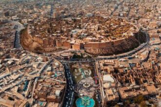 2 دولار لكل كلب ضال.. فرصة عمل غريبة في أربيل