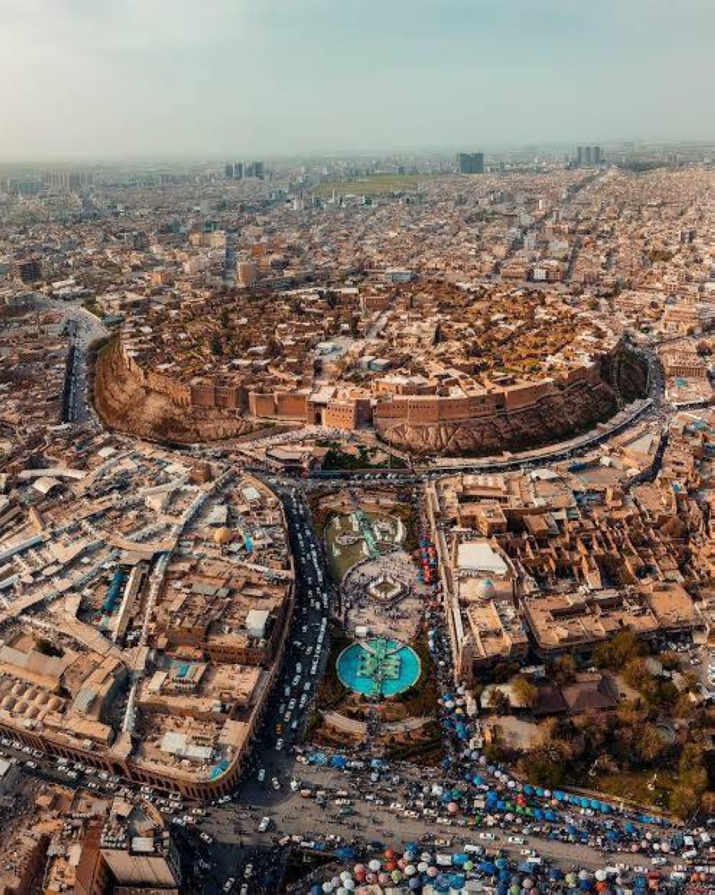2 دولار لكل كلب ضال.. فرصة عمل غريبة في أربيل