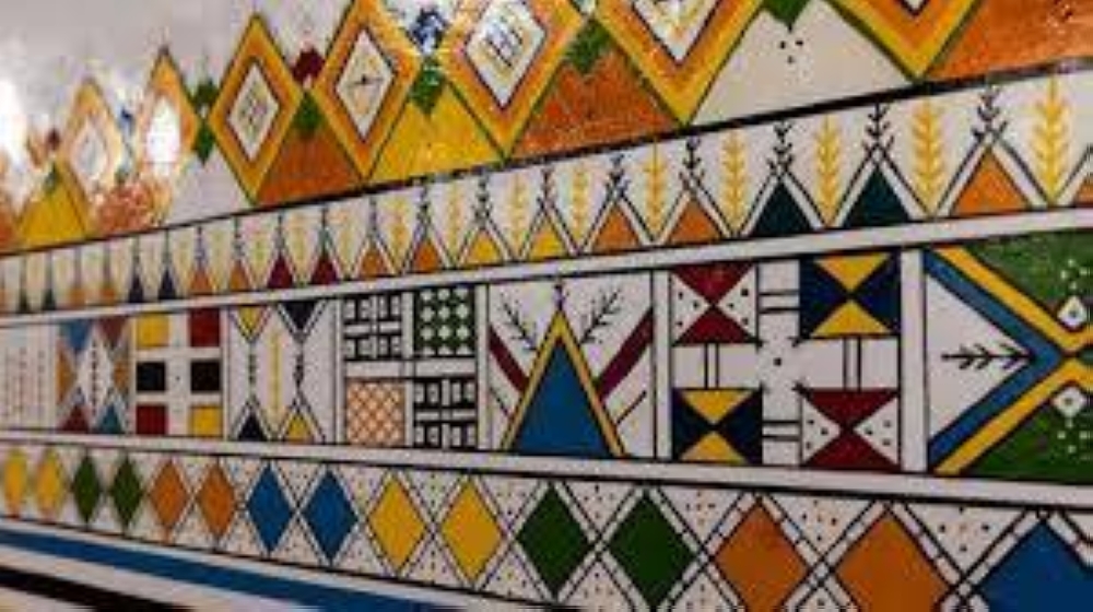 على مدى 33 عاماً.. تشكيلي سعودي يوثق 1200 نوع لـ«القط العسيري»