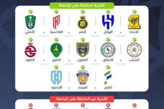 منح 13 نادياً الرخصة المحلية والآسيوية
