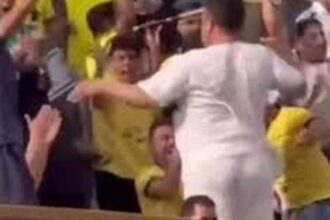 فرحة مشجع تهز الملاعب في مصر.. وقرار وزاري بالتحقيق العاجل
