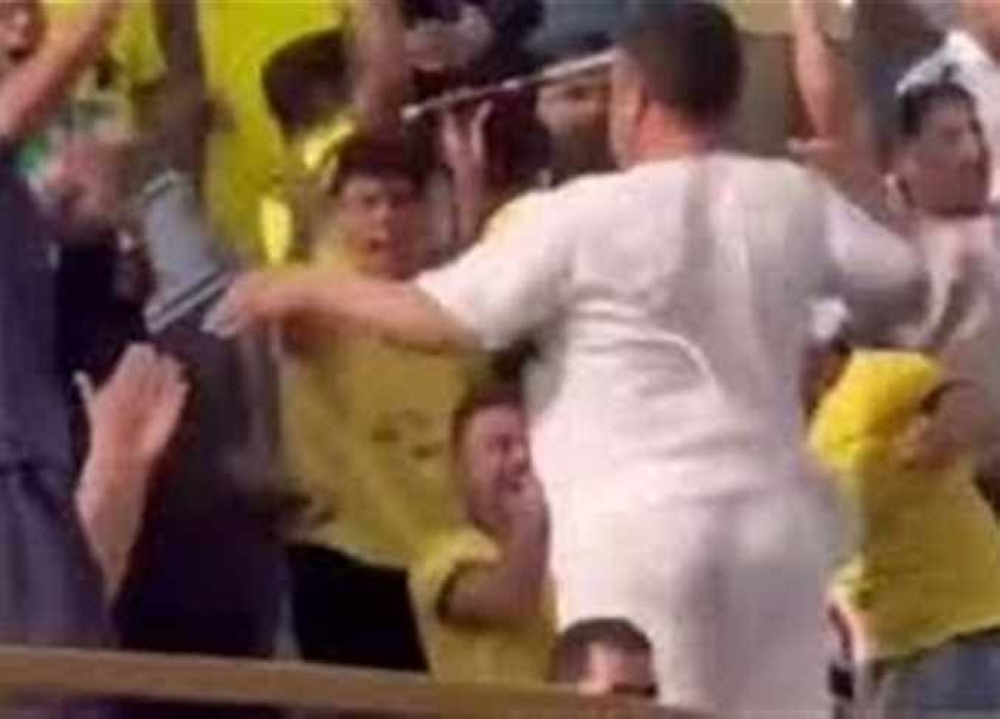 فرحة مشجع تهز الملاعب في مصر.. وقرار وزاري بالتحقيق العاجل
