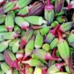 فوائد البامية الحمراء: