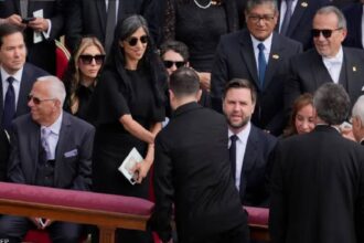 بأجواء عادية.. زيلينسكي يلتقي نائب الرئيس الأمريكي في الفاتيكان