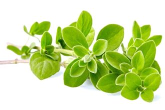 فوائد البردقوش: