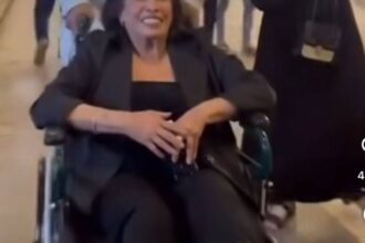 في أحدث ظهور من بغداد.. حياة الفهد على كرسي متحرك في أحدث ظهور من بغداد.. حياة الفهد على كرسي متحرك