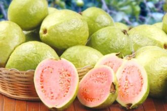 فوائد بذور الجوافة: