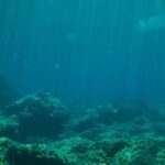 حيّرت العلماء.. جمجمة مدفونة منذ 140 ألف عام بقاع المحيط!