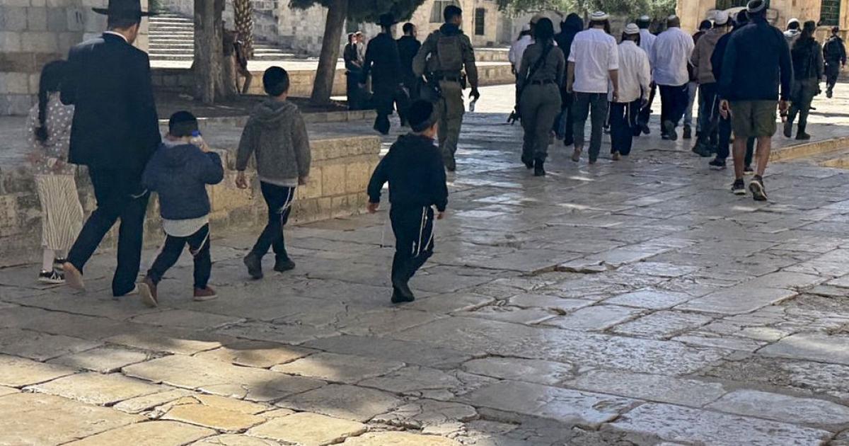 الأردن يدين اقتحامات المتطرفين للمسجد الأقصى ومحاولة تدنيسه عبر إدخال قربان الأردن يدين اقتحامات المتطرفين للمسجد الأقصى ومحاولة تدنيسه عبر إدخال قربان