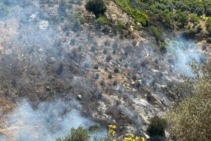 عجلون: حريق يأتي على 6 دونمات من الأشجار المثمرة في راجب