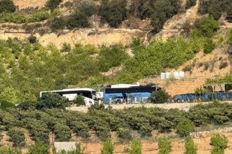 عجلون: مطالب برفع وعي المتنزهين بأهمية المحافظة على الأماكن الطبيعية والسياحية