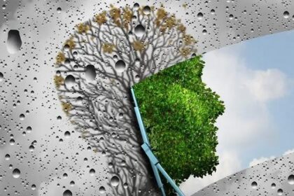 أبرزها الثوم.. 5 أطعمة هي مفاتيح تجديد الخلايا وإبطاء الشيخوخة