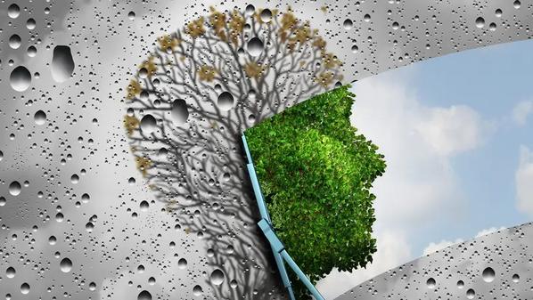 أبرزها الثوم.. 5 أطعمة هي مفاتيح تجديد الخلايا وإبطاء الشيخوخة أبرزها الثوم.. 5 أطعمة هي مفاتيح تجديد الخلايا وإبطاء الشيخوخة