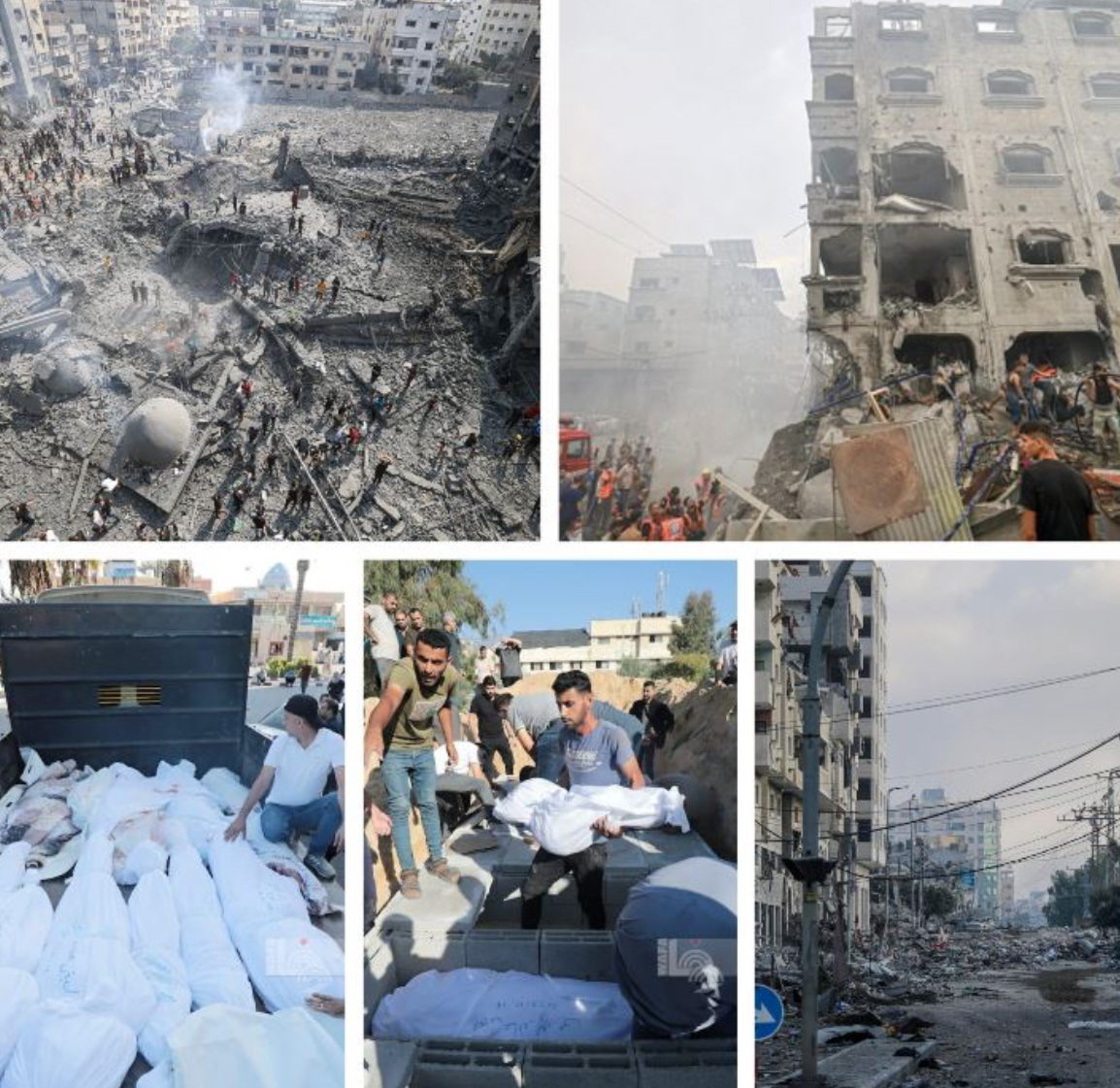 17 شهيدا جراء قصف الاحتلال عدة مناطق في غزة 17 شهيدا جراء قصف الاحتلال عدة مناطق في غزة