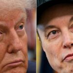 هل يسمح الدستور لـ«ماسك» بتكون حزب سياسي؟