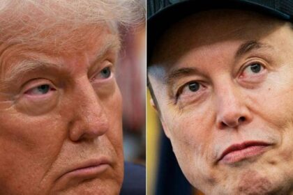 هل يسمح الدستور لـ«ماسك» بتكون حزب سياسي؟