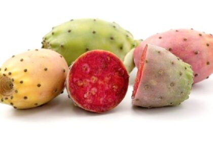 فوائد التين الشوكي: