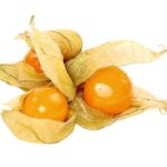 فوائد الحرنكش: