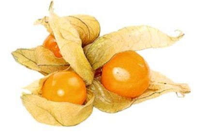 فوائد الحرنكش: