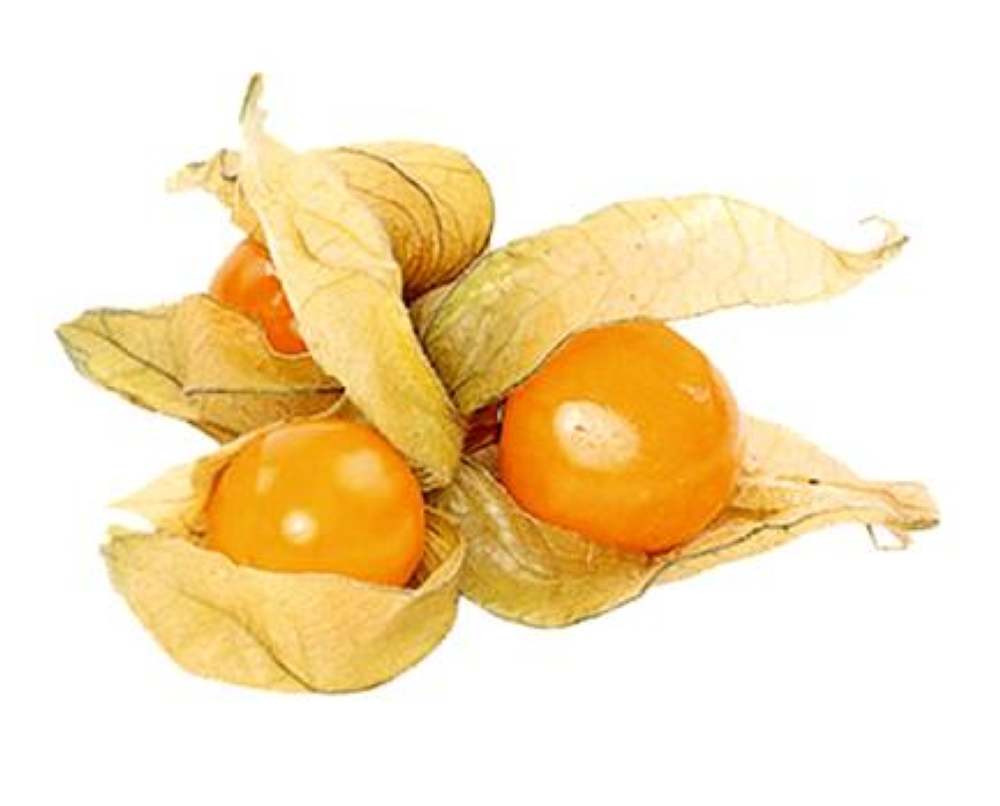 فوائد الحرنكش: