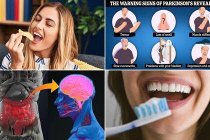 الأطعمة المصنّعة تُهدد دماغك.. دراسة تربطها بمرض باركنسون