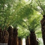 اكتشاف مذهل.. عالم مدفون تحت القارة القطبية منذ 34 مليون سنة