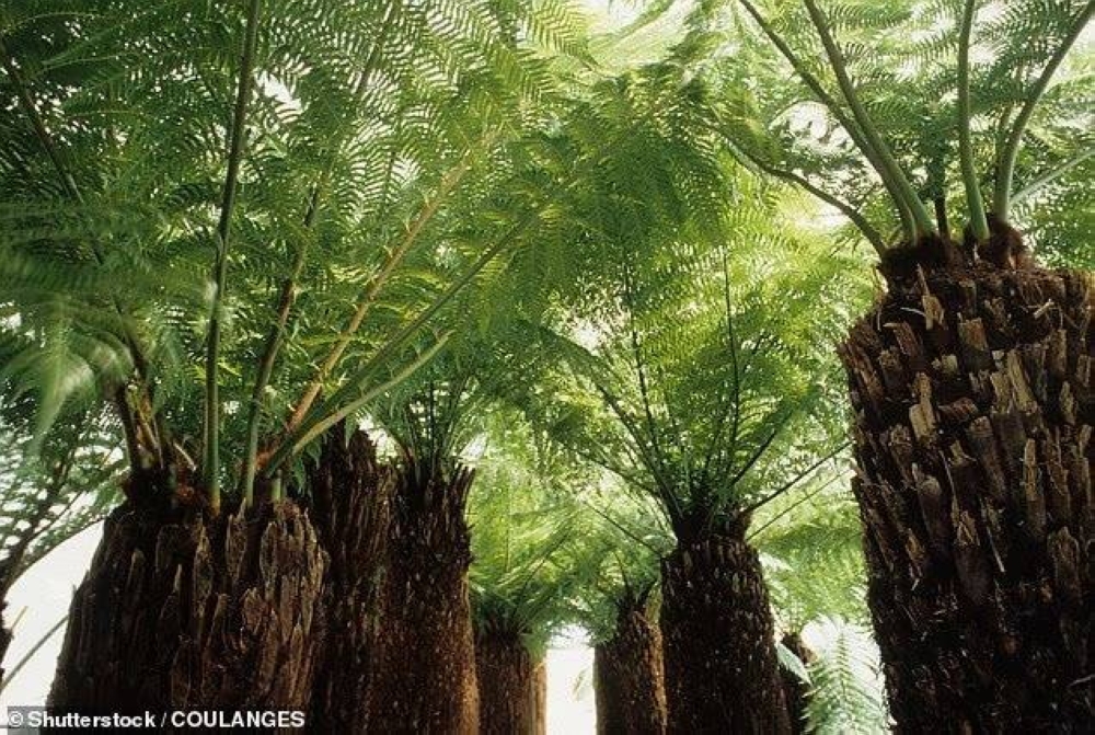 اكتشاف مذهل.. عالم مدفون تحت القارة القطبية منذ 34 مليون سنة