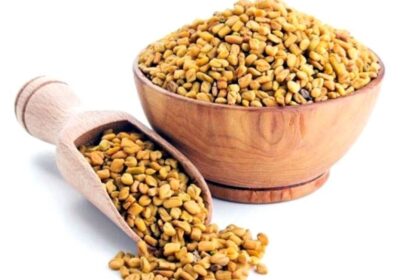 فوائد بذور الحلبة: