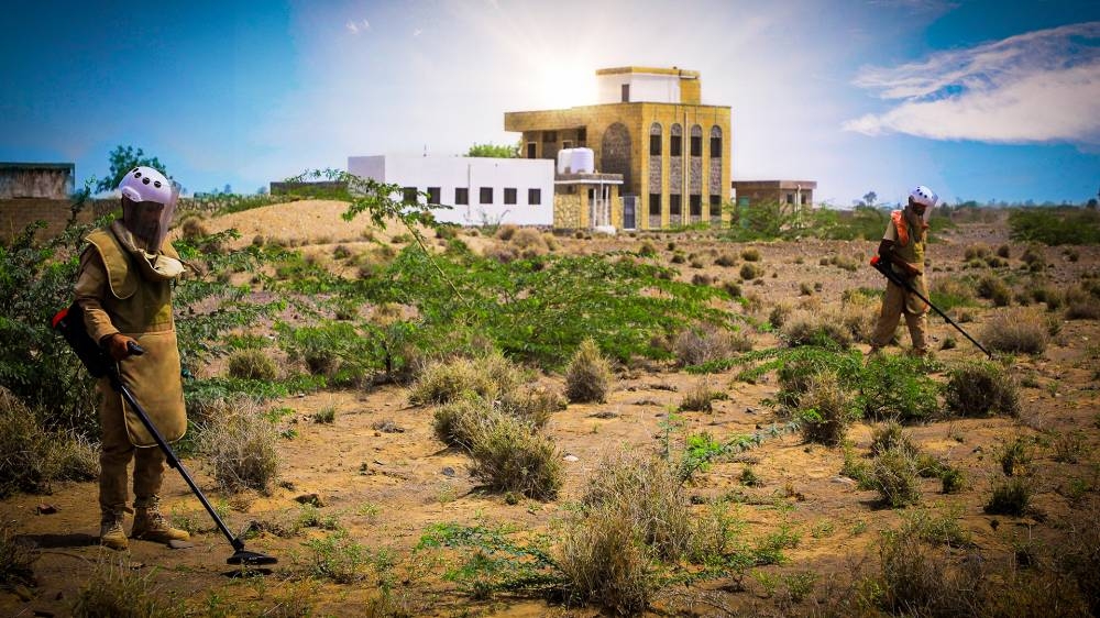 القصيبي: «مسام» نجح في انتزاع 500000 لغم باليمن