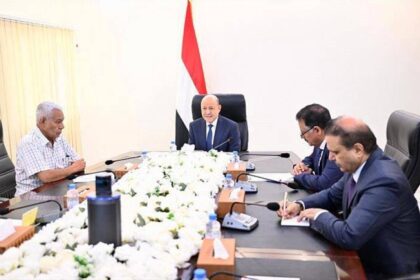 الرئيس اليمني يؤكد جاهزية الجيش لخوض معركة التحرير الشامل