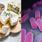 10 آلاف إصابة.. ارتفاع غير مسبوق لحالات التسمم الغذائي في بريطانيا