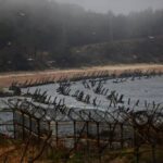 زجاجات «ممنوعة» تُشعل أزمة.. كوريا الجنوبية تعتقل 6 أمريكيين قرب حدود الشمال!