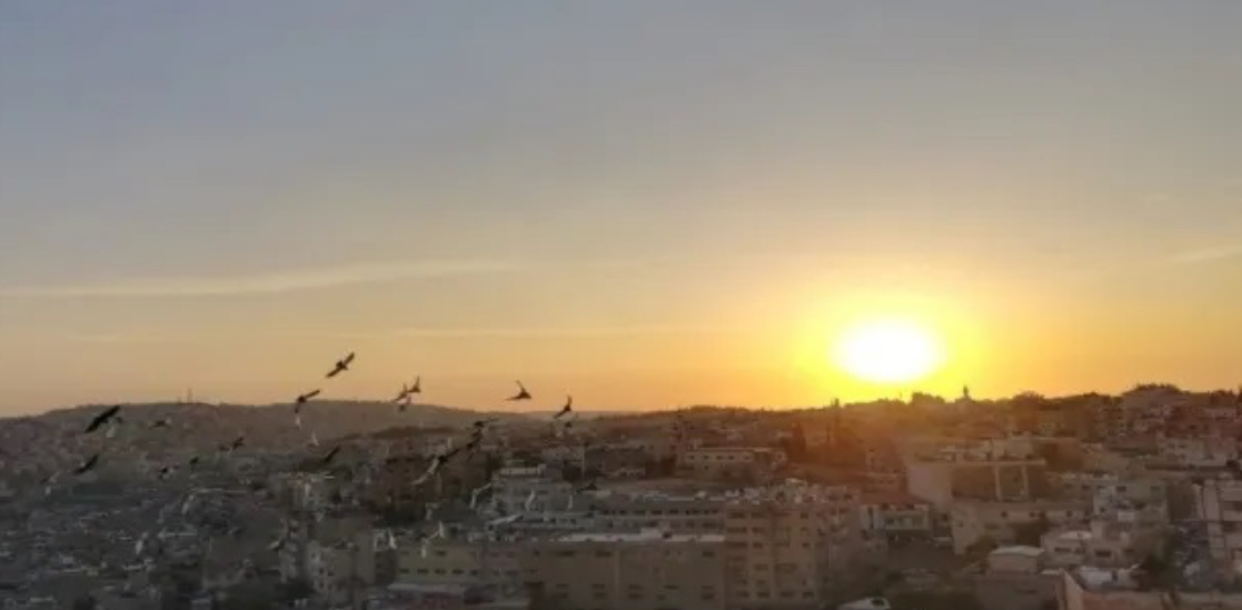 الانقلاب الصيفي يصادف السبت 21 الشهر الحالي