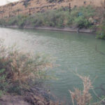 ضبط 873 اعتداء على قناة الملك عبدالله وتحويل 7 منها إلى القضاء منذ بدء 2025