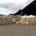 2440 طنًا من الخضار وردت للسوق المركزي اليوم