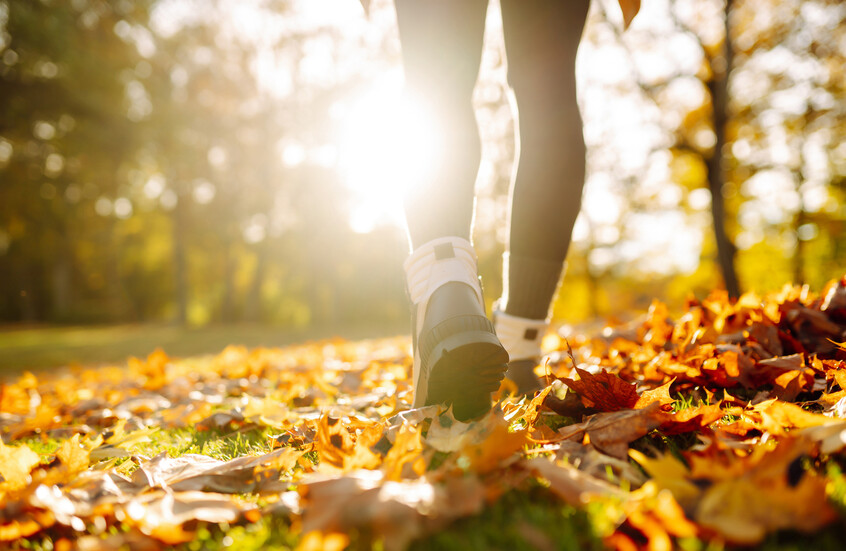 “المشي الياباني”.. نشاط بدني بسيط وفوائد صحية كبيرة “المشي الياباني”.. نشاط بدني بسيط وفوائد صحية كبيرة