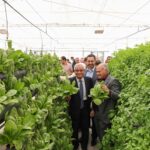 الجامعة الهاشمية تُنجز المرحلة الأولى من مشروع بيت الزراعة الذكية