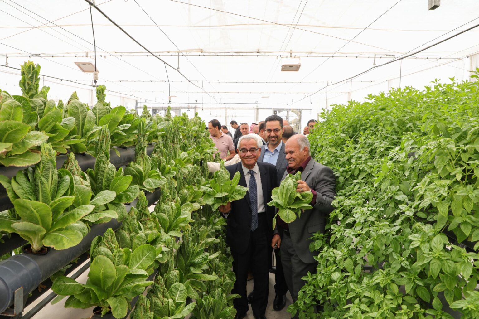 الجامعة الهاشمية تُنجز المرحلة الأولى من مشروع بيت الزراعة الذكية الجامعة الهاشمية تُنجز المرحلة الأولى من مشروع بيت الزراعة الذكية