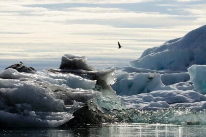 اكتشاف جبل جليدي فريد من نوعه قبالة سواحل كندا