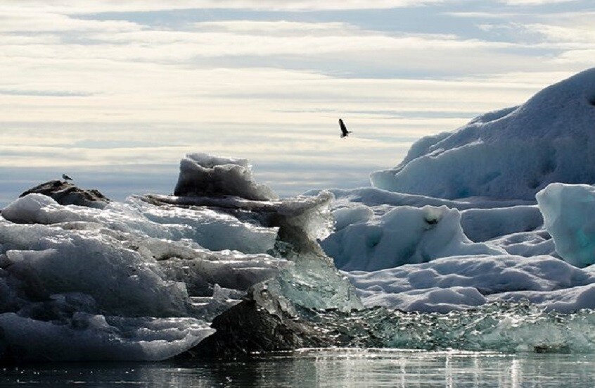 اكتشاف جبل جليدي فريد من نوعه قبالة سواحل كندا اكتشاف جبل جليدي فريد من نوعه قبالة سواحل كندا