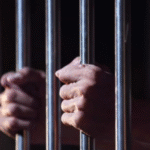 بقرار من محافظ الزرقاء .. توقيف شخص لتعذيبه قططًا في منزله