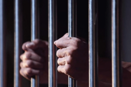 بقرار من محافظ الزرقاء .. توقيف شخص لتعذيبه قططًا في منزله