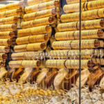 67.7 دينارا سعر الذهب عيار 21 بالأسواق