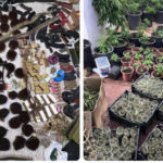 حملات أمنية واسعة تطيح بـ32 تاجرا ومروجا للمخدرات